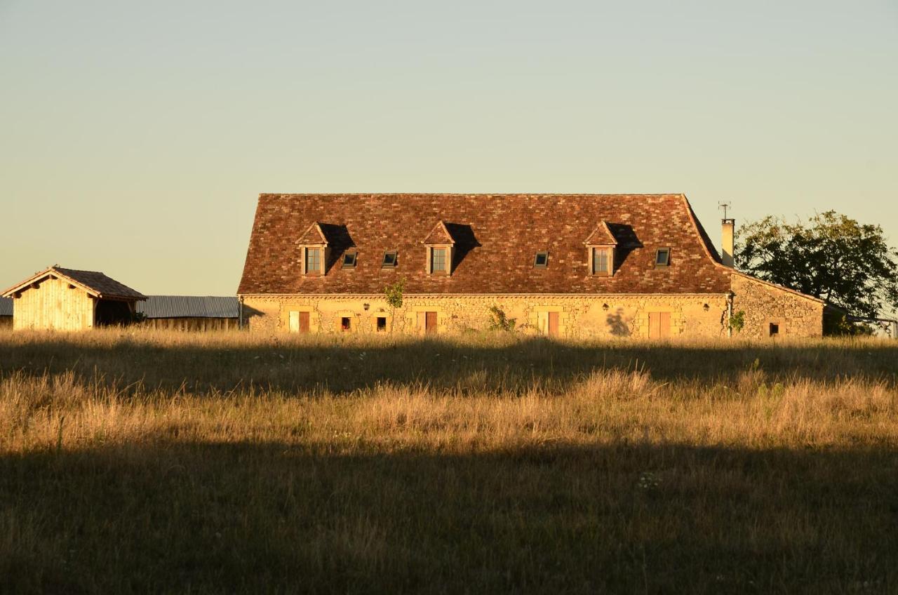 Chambre D'Hotes La Ferme De La Croix. Saint-Avit-Sénieur Dış mekan fotoğraf